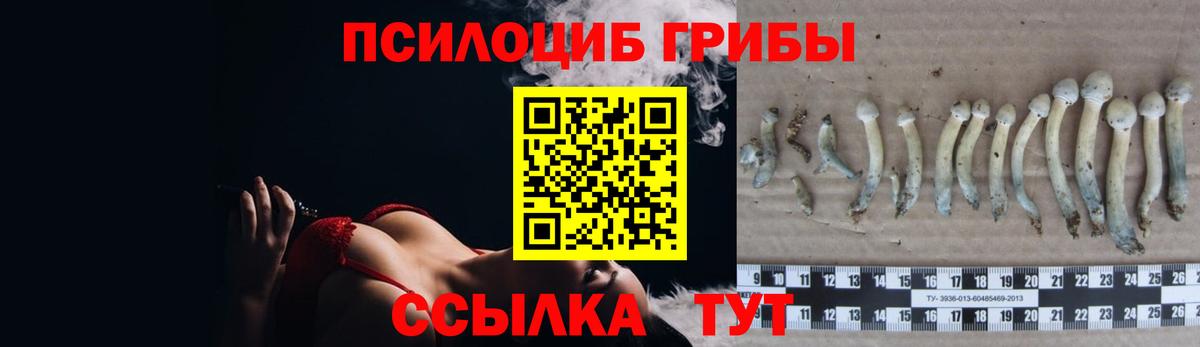 Псилоцибиновые грибы MAGIC MUSHROOMS  Вход с VPN  Псилоцибиновые грибы Psilocybine cubensis  Полысаево 